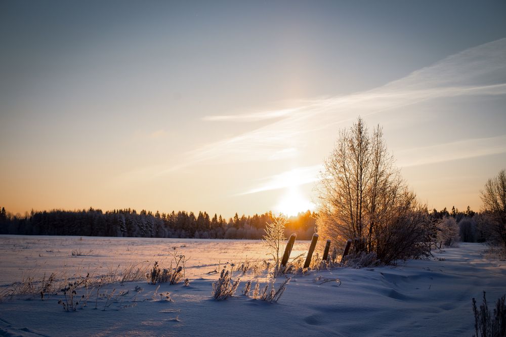 Фотография автора Станислава Гордеева