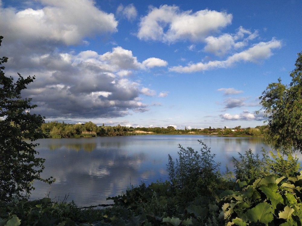 Фотография автора Наталья Алексеева