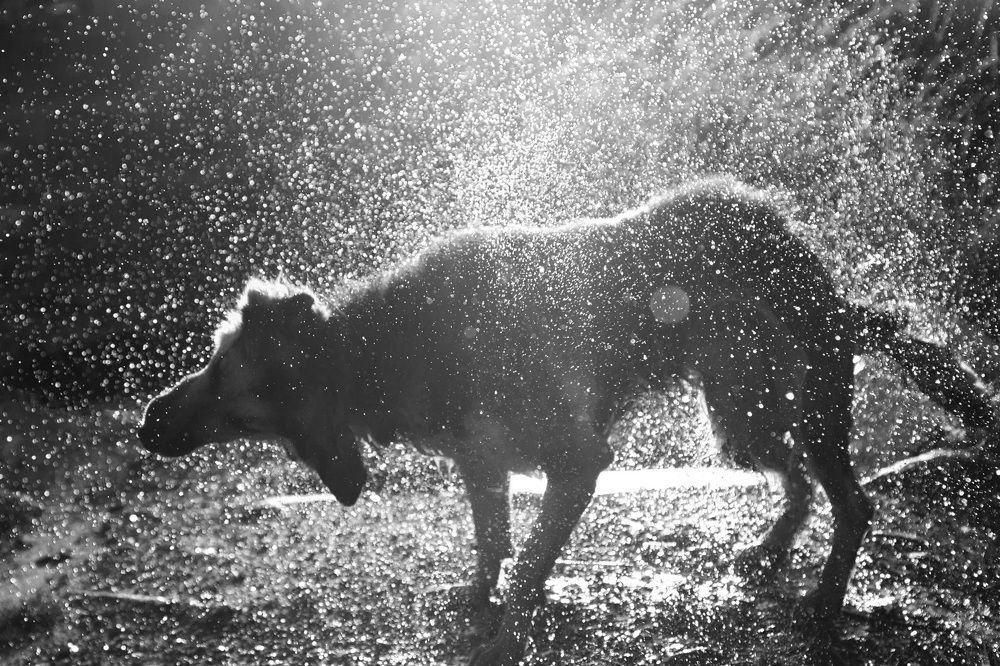 Photograph by Юлия Михайлова