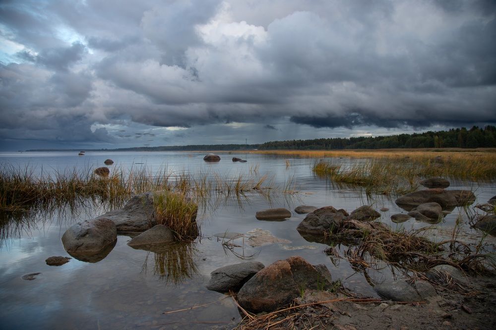 Photograph by Герасимова Елена