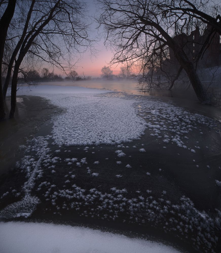 Фотография автора Шишкин Дмитрий
