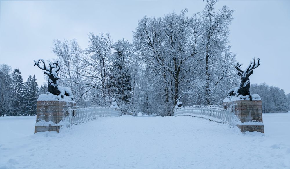 Photograph by Константин