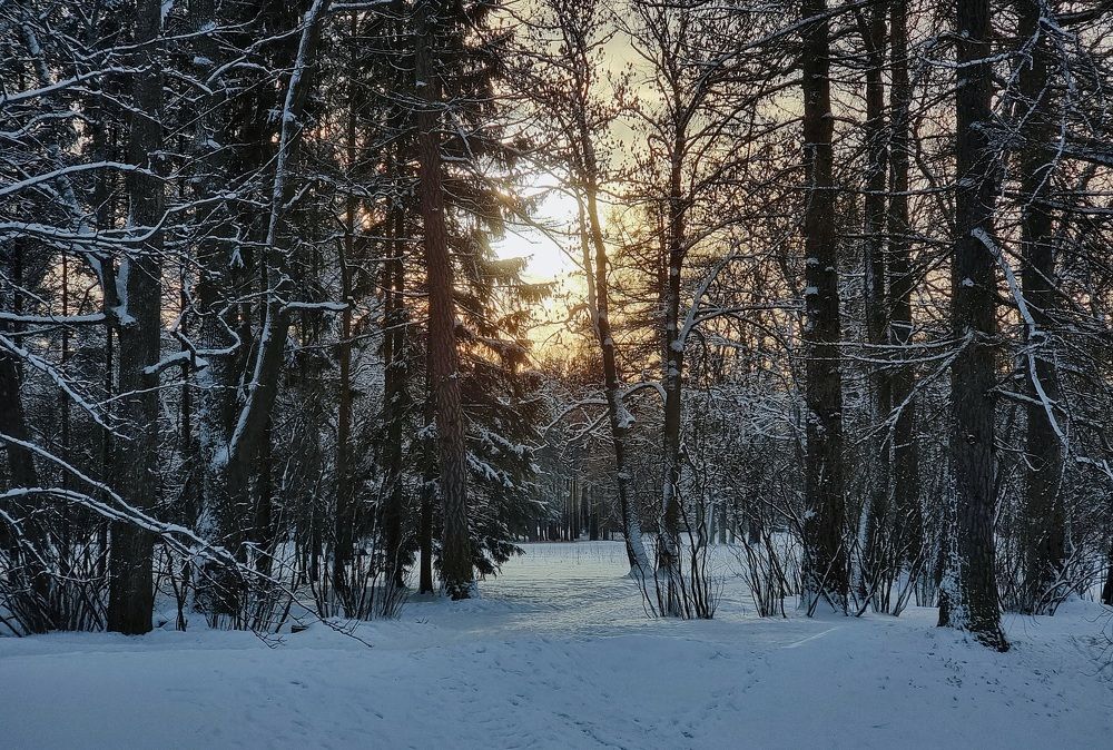 Photograph by Максим Кольцов