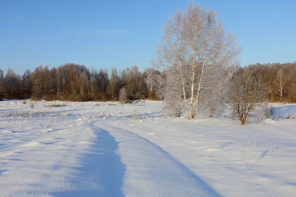 Photograph by Alexander Kournossov