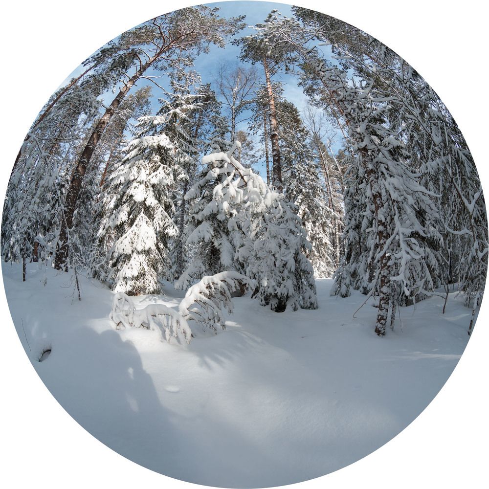 Photograph by Константин