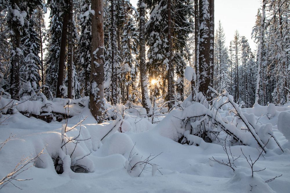 Photograph by Константин