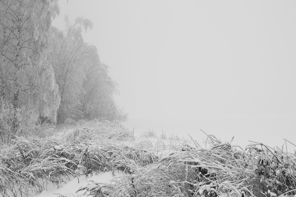 Photograph by Roman Байтлеулов