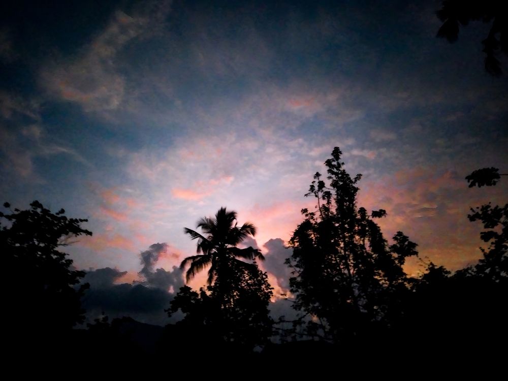 Evening