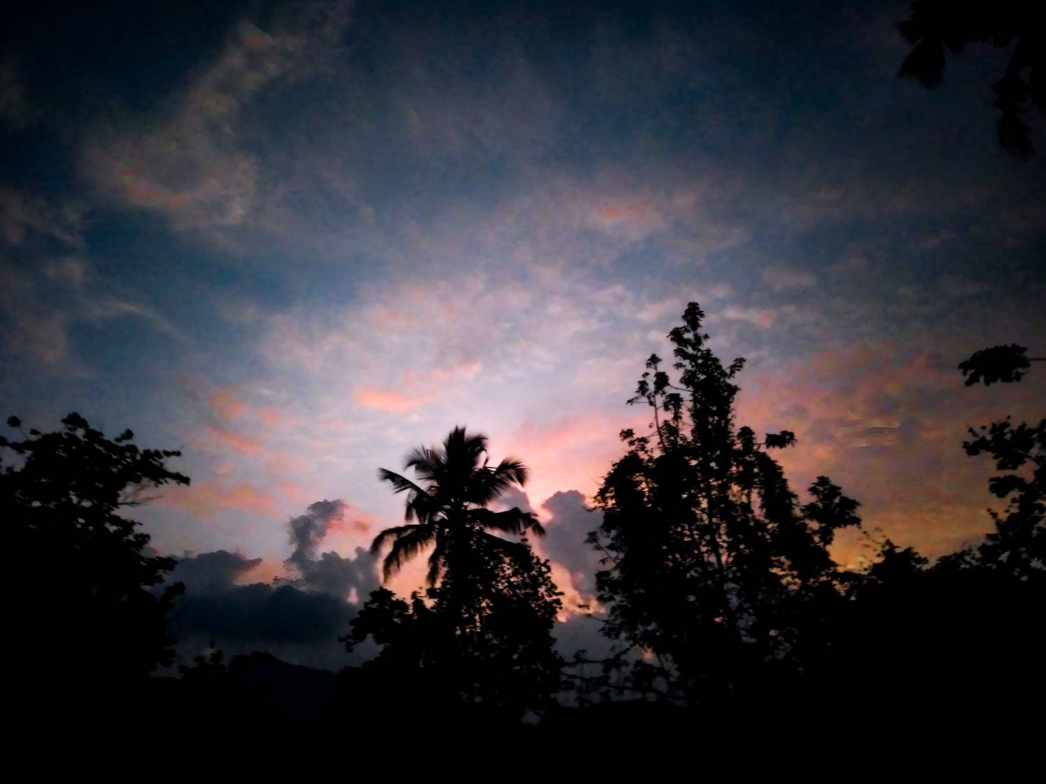 Evening