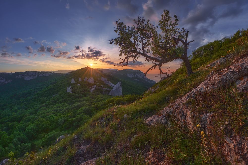 Photograph by Konstantin Voronov