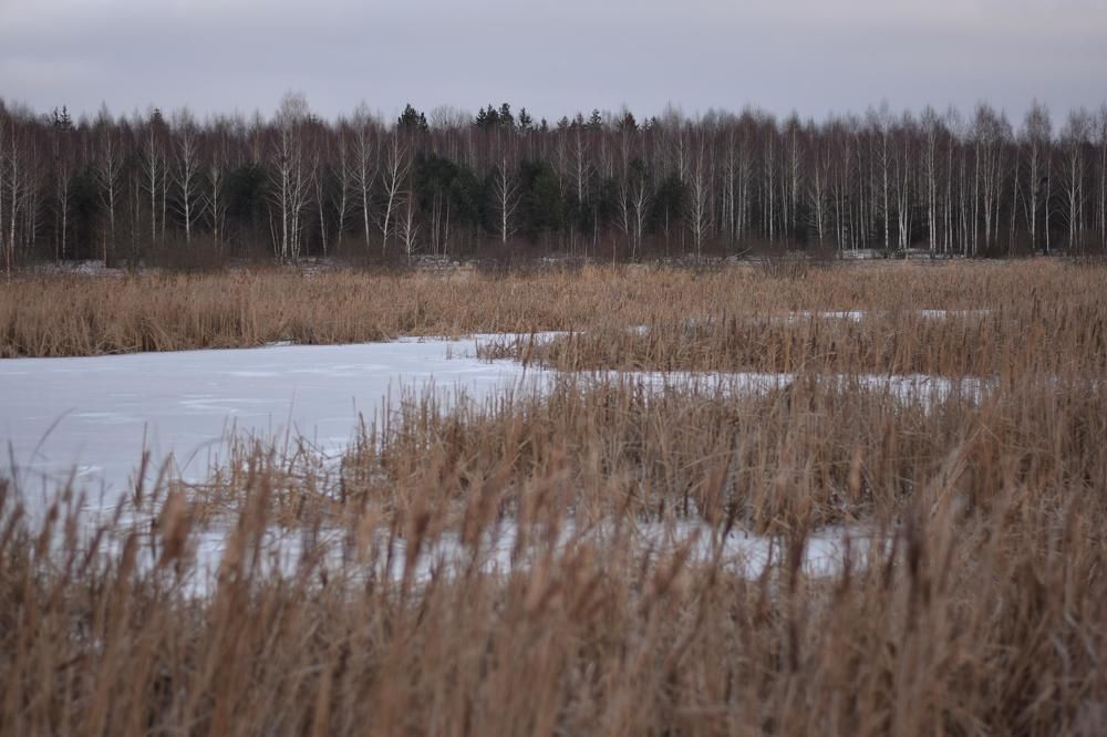 Photograph by Юля Шуравенкова