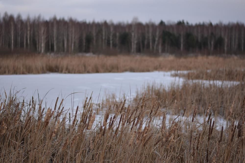 Photograph by Юля Шуравенкова