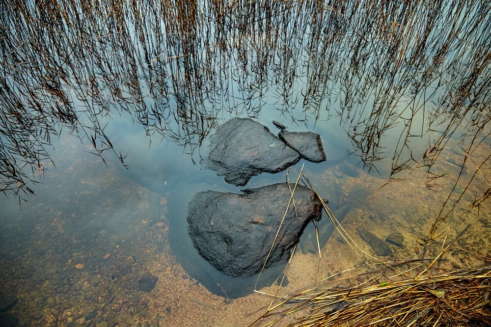 Photograph by Вадим Леонтьев