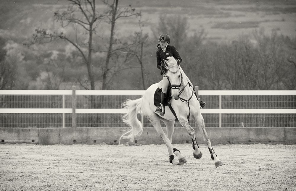 Фотография автора Василев Теодор
