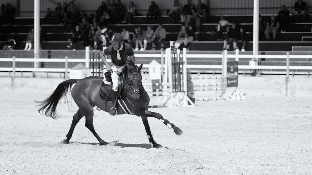 Фотография автора Василев Теодор