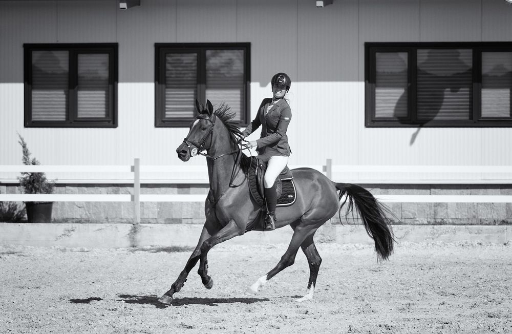 Фотография автора Василев Теодор