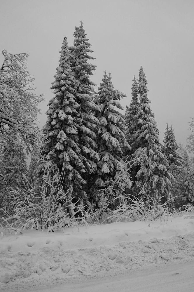 Photograph by Татьяна Медякова