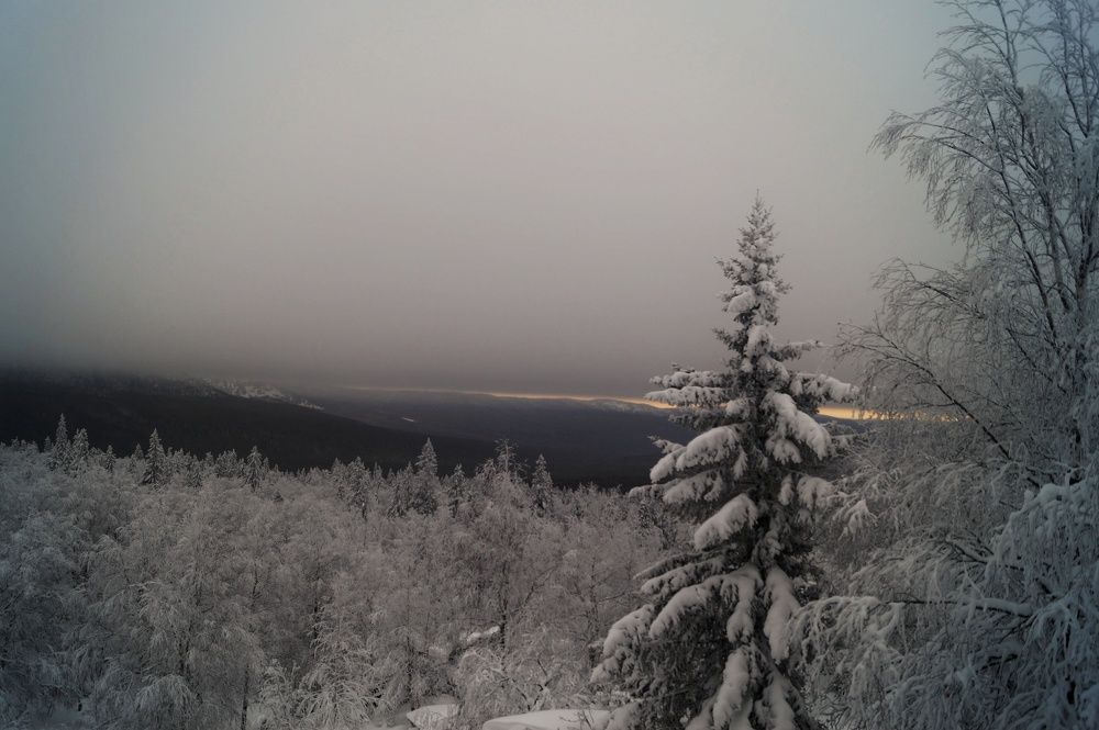Photograph by Татьяна Медякова
