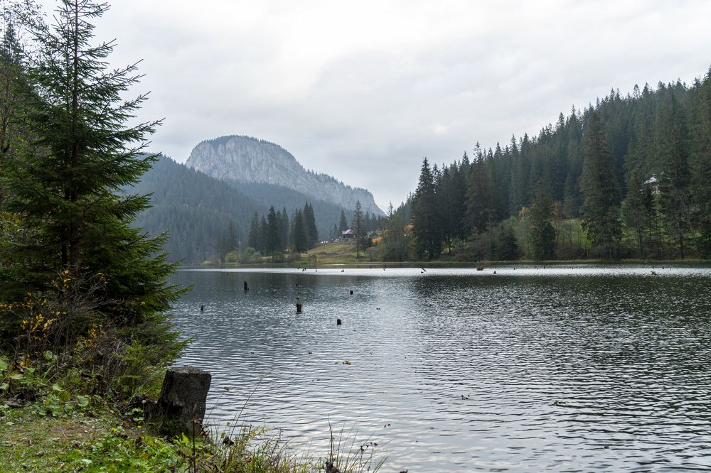 Фотография автора Ирина Зайцева