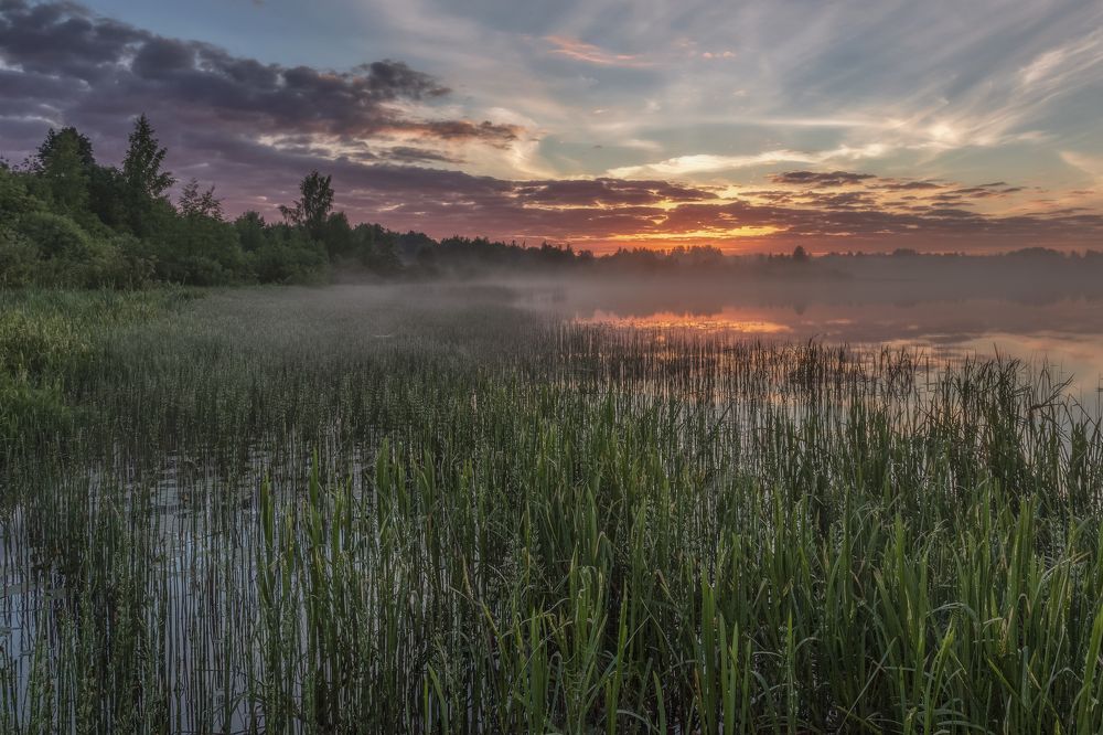 Photograph by Гусева Елена