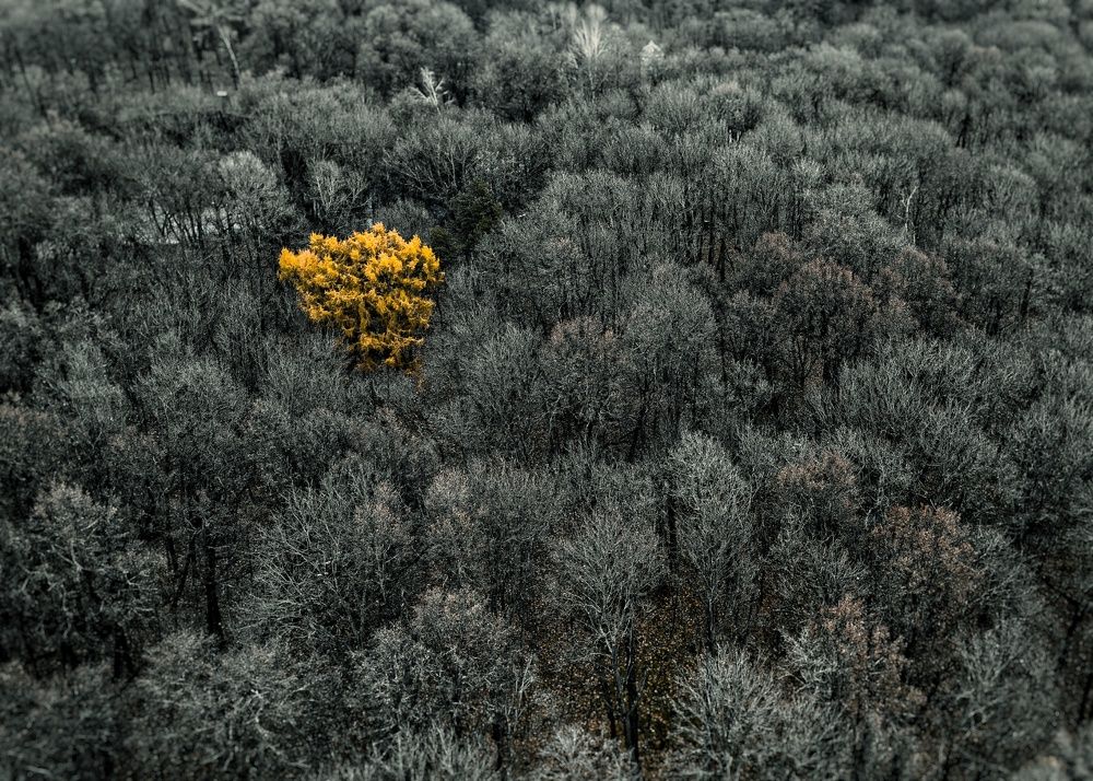 Photograph by Кирилл Рог