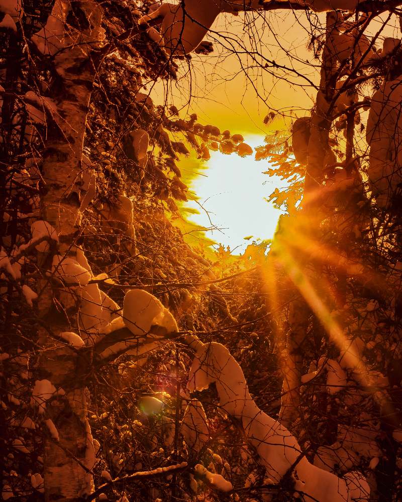 Photograph by Николай Яковлев