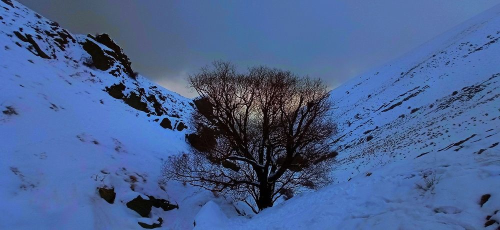 Фотография автора Mahdi Mohammadi