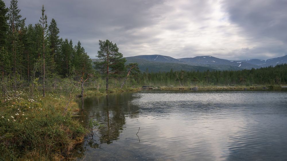 В ожидании дождя