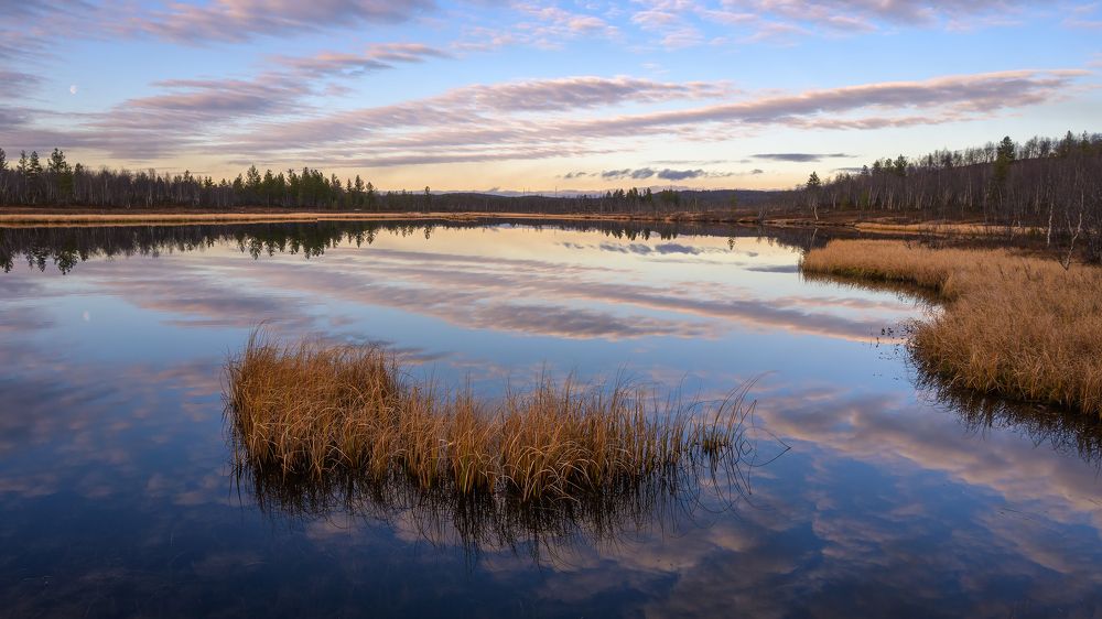 Лесное зеркало.