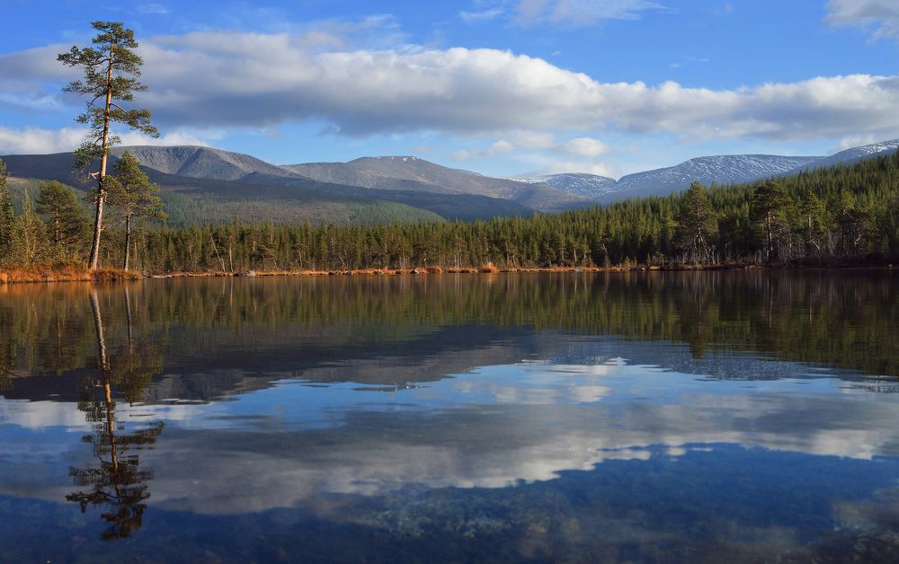 Photograph by Константин Коряков