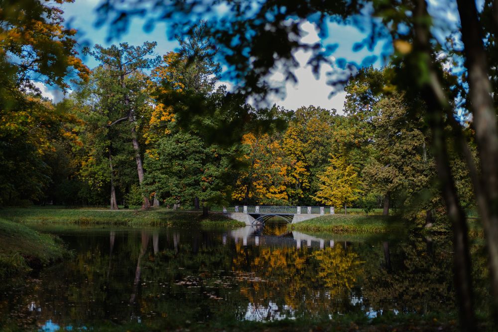 Photograph by Мария Федорова