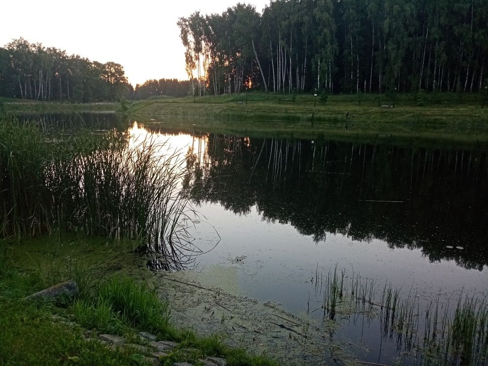 Photograph by Михаил Царикевич