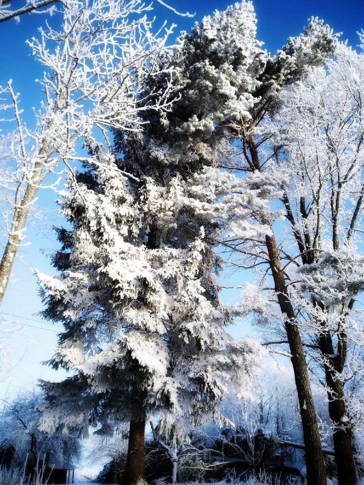 Photograph by Любовь Коровацкая