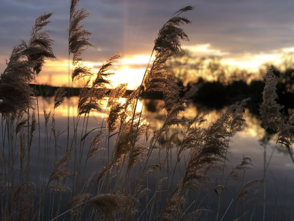 Photograph by Юлия