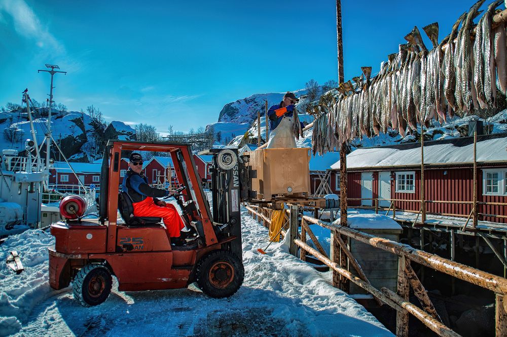 Photograph by Robert Juvet