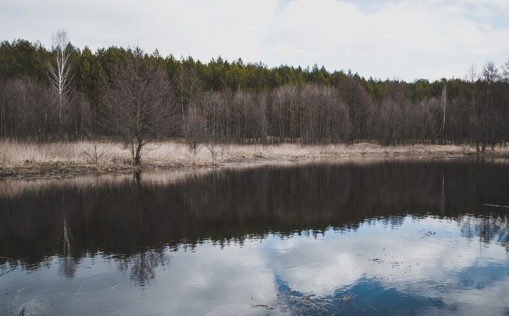 Photograph by Елизавета Большакова