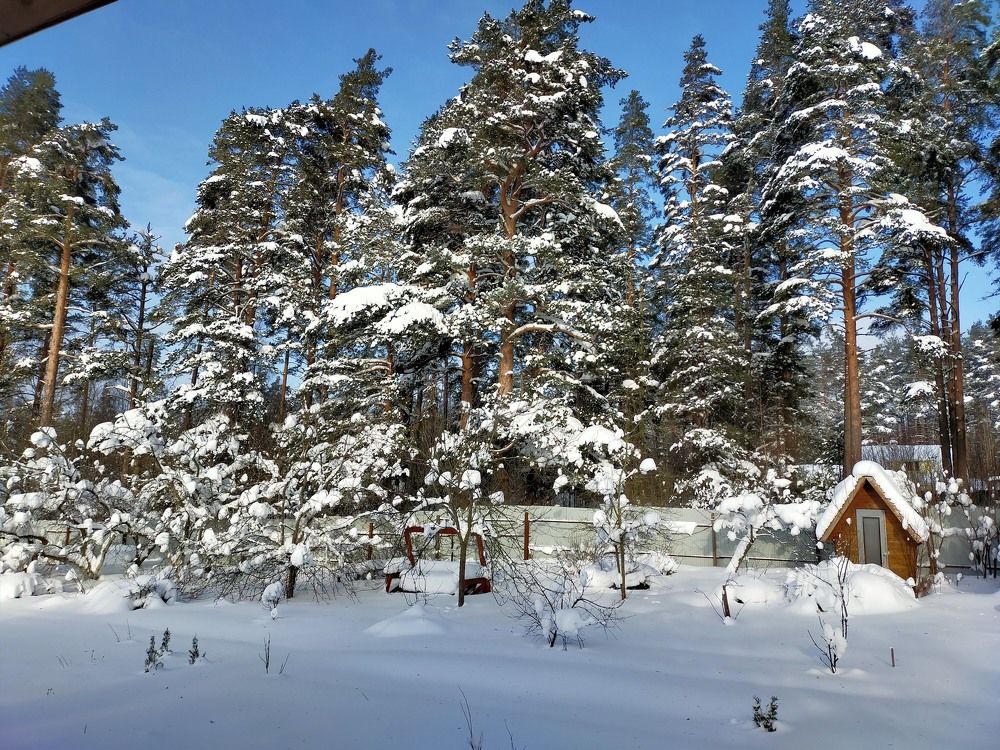 Photograph by Мария Федорова