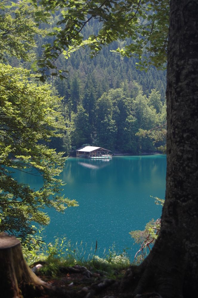 Photograph by Vladimir Skranzhevskii