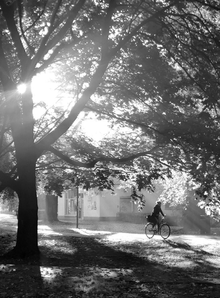 Photograph by Palina Mikhailouskaya