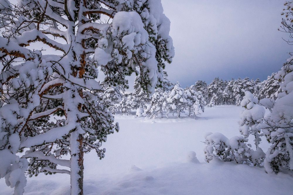 Photograph by Вязникова Анна