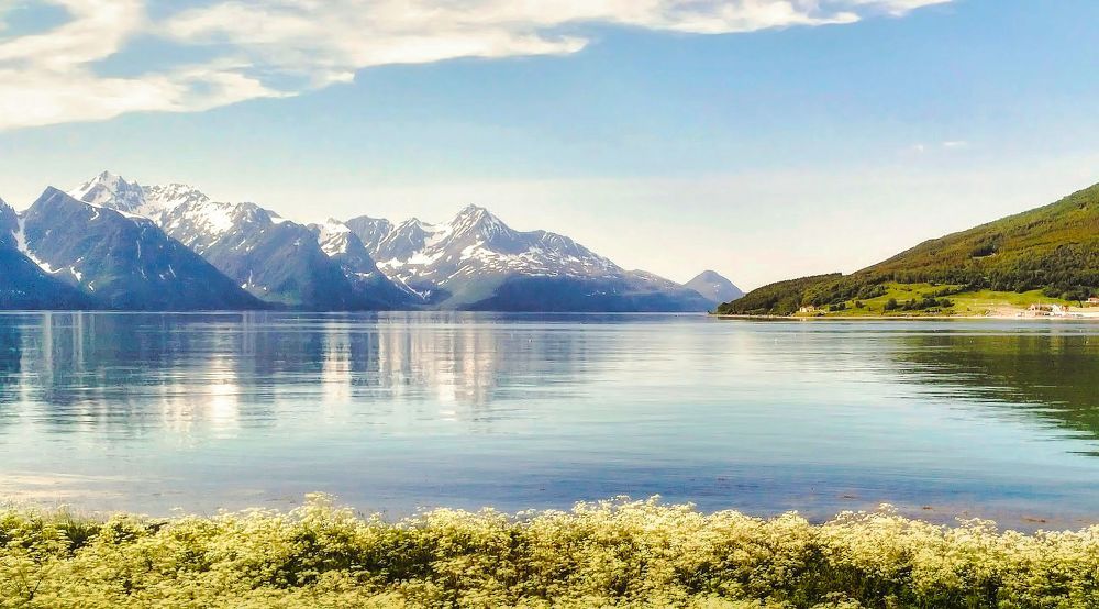 Photograph by Epp Tappel