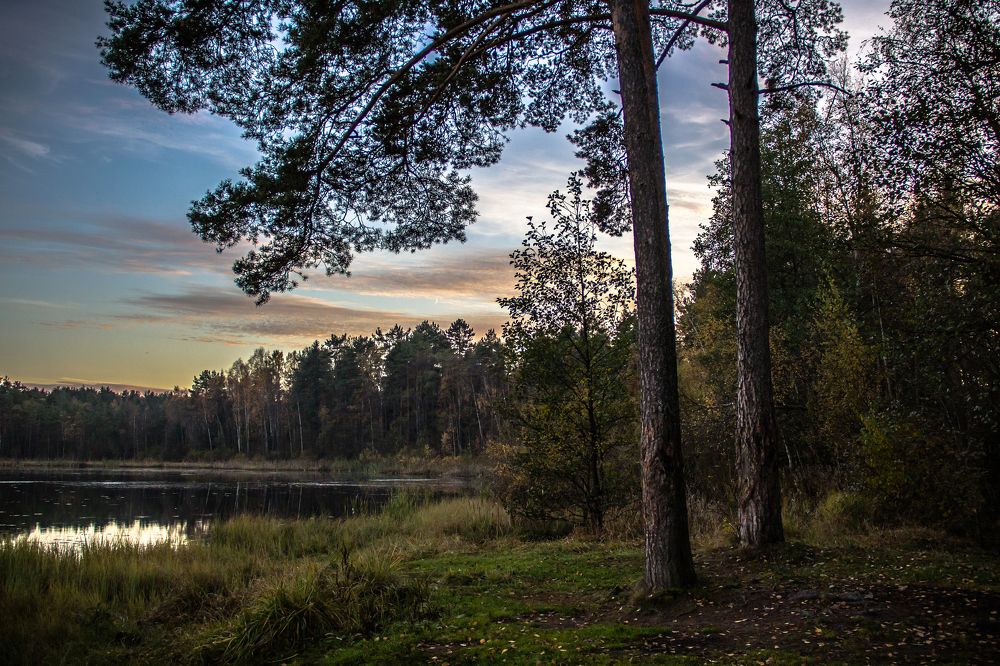 Photograph by Igor Makarov