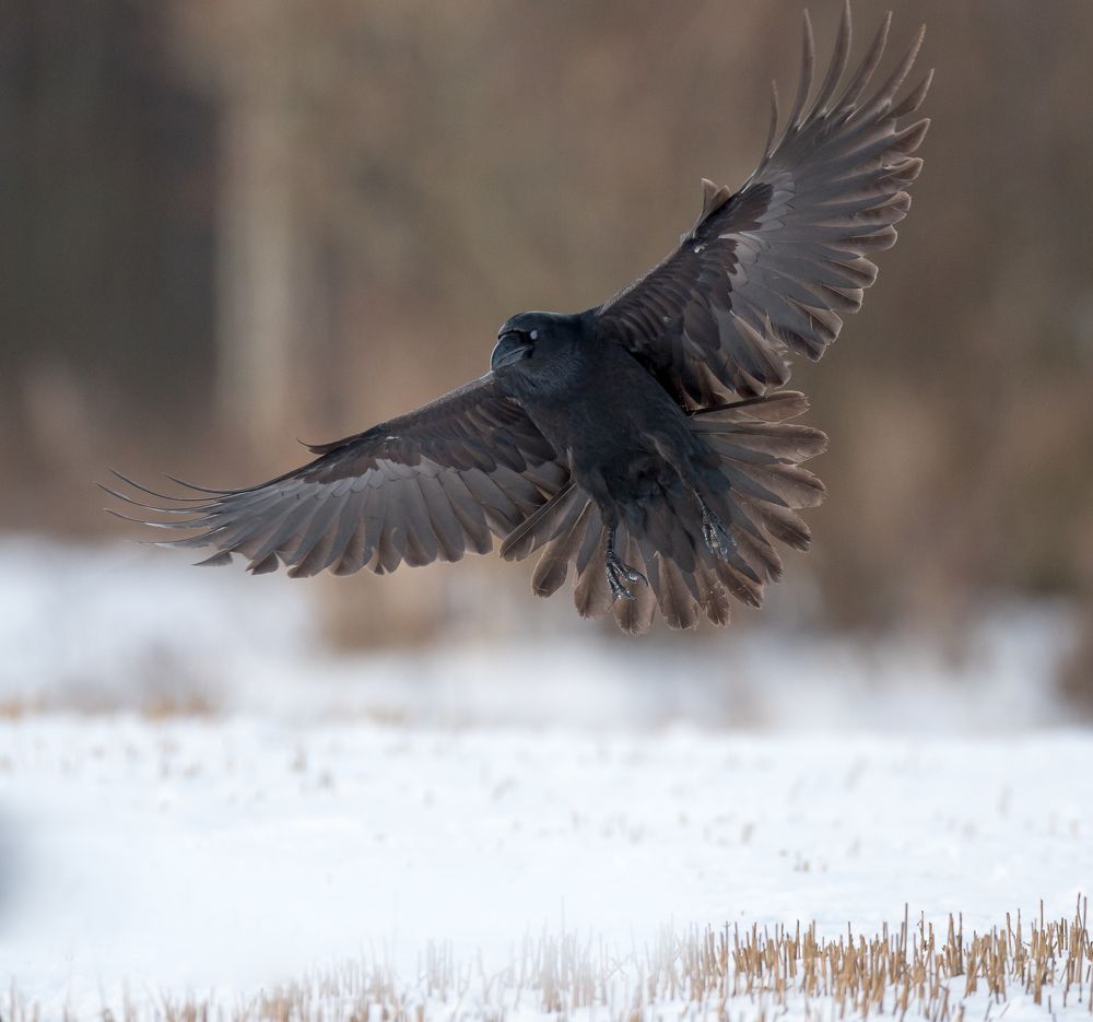 Photograph by Valerijs Bukovskis