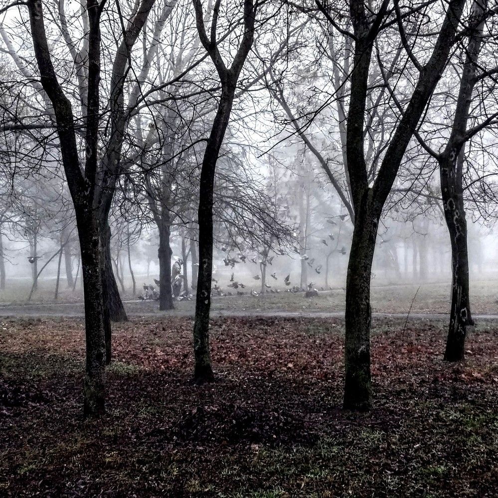 Photograph by Ирина