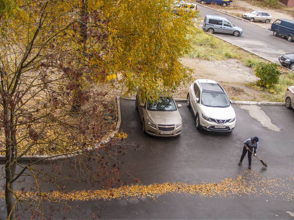 Желтые листья.