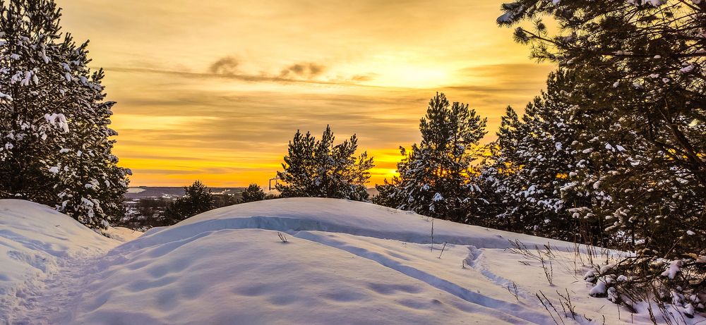 Photograph by Konstantin Martynov