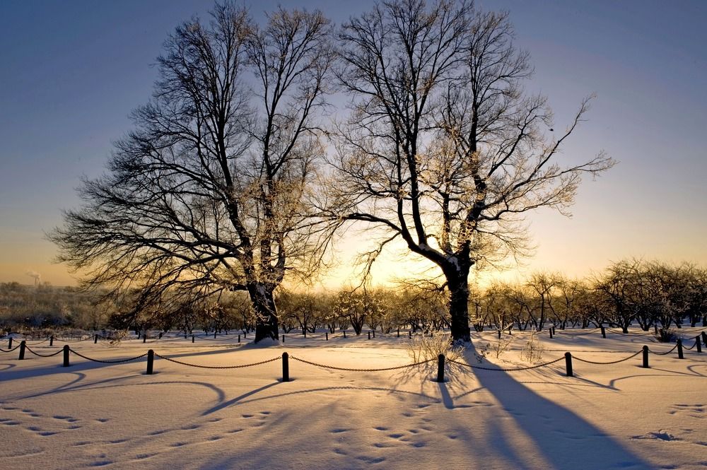 Photograph by Дмитрий Розенбаум