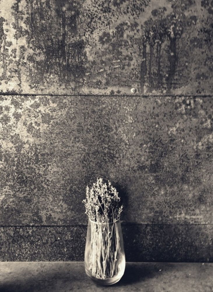 Photograph by Роман Новиков