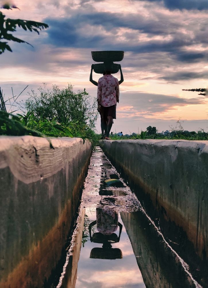 Photograph by Supritam S
