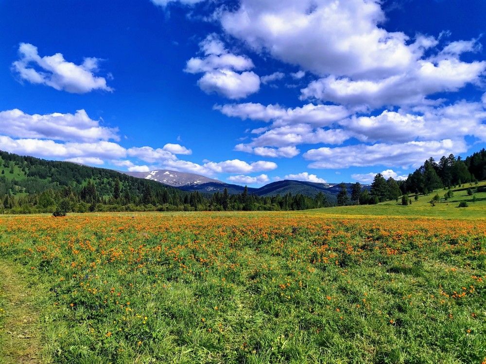 Photograph by Mariya Sinitsina